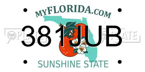 381JUB Florida License Plate