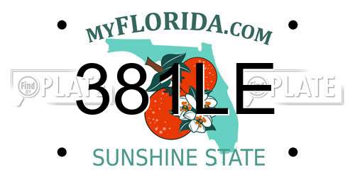 381LE Florida License Plate