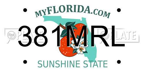 381MRL Florida License Plate