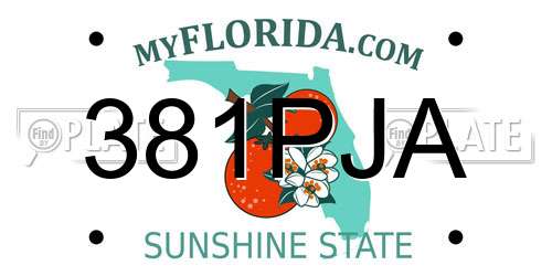 381PJA Florida License Plate