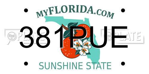 381PUE Florida License Plate