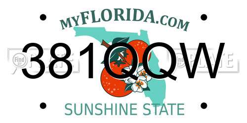 381QQW Florida License Plate