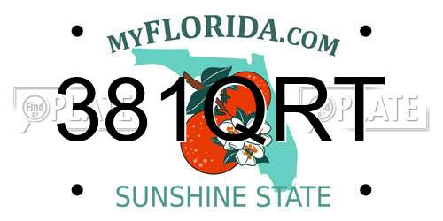 381QRT Florida License Plate