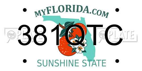 381QTC Florida License Plate