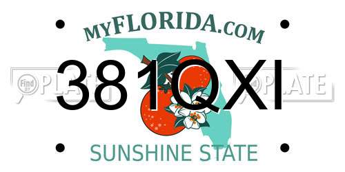 381QXI Florida License Plate
