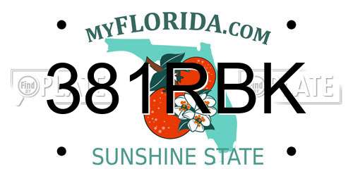 381RBK Florida License Plate