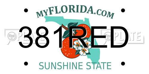 381RED Florida License Plate