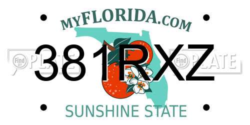 381RXZ Florida License Plate