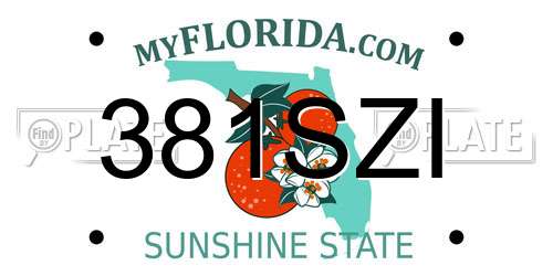 381SZI Florida License Plate
