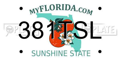 381TSL Florida License Plate