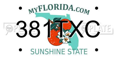 381TXC Florida License Plate