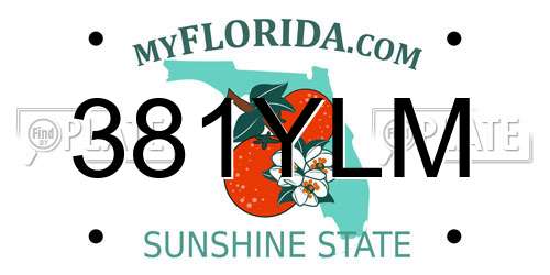 381YLM Florida License Plate