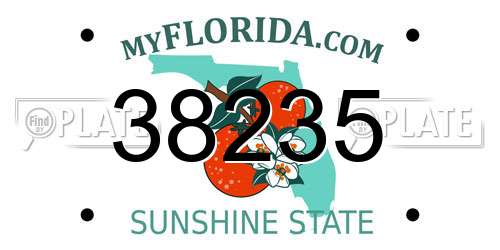 38235 Florida License Plate