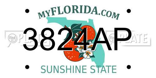 3824AP Florida License Plate