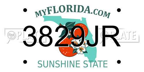3829JR Florida License Plate