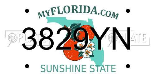 3829YN Florida License Plate