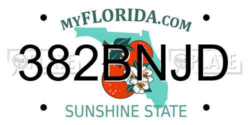 382BNJD Florida License Plate