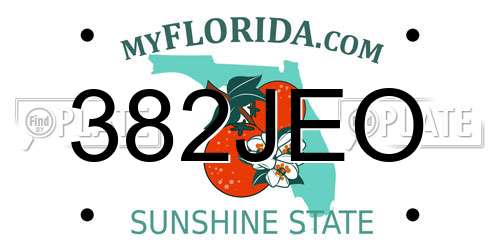 382JEO Florida License Plate