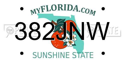 382JNW Florida License Plate