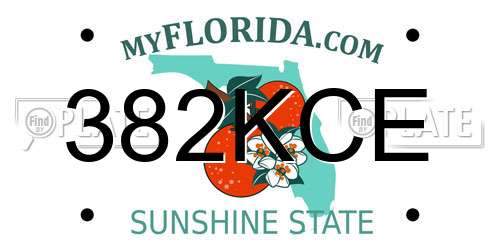 382KCE Florida License Plate