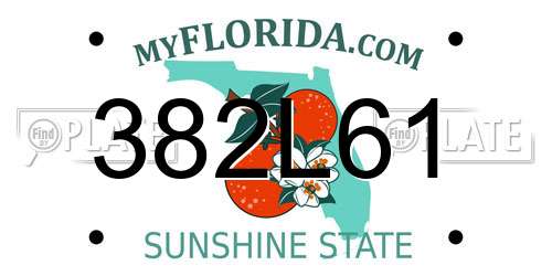 382L61 Florida License Plate