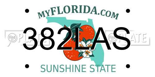 382LAS Florida License Plate