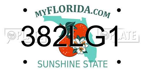 382LG1 Florida License Plate