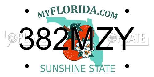 382MZY Florida License Plate