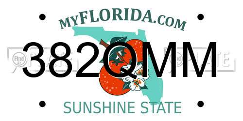 382QMM Florida License Plate
