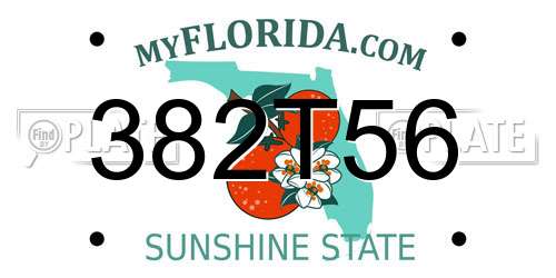 382T56 Florida License Plate