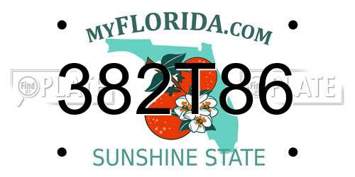 382T86 Florida License Plate