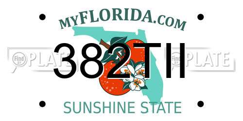 382TII Florida License Plate