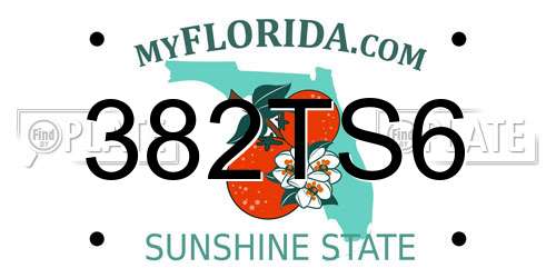 382TS6 Florida License Plate