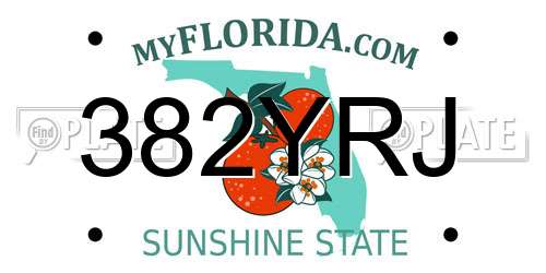382YRJ Florida License Plate