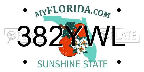 382YWL Florida License Plate
