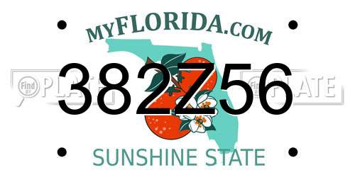 382Z56 Florida License Plate