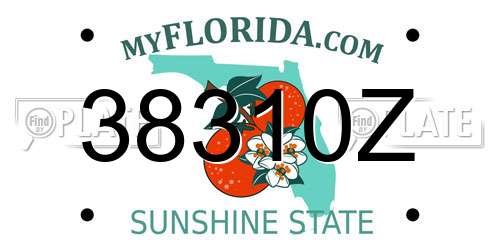38310Z Florida License Plate