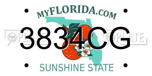 3834CG Florida License Plate
