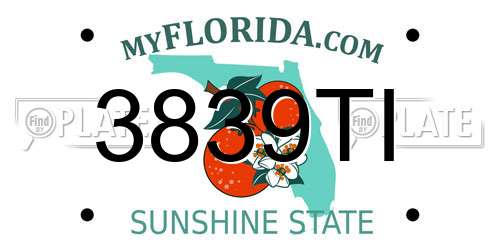 3839TI Florida License Plate