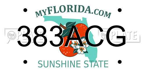 383ACG Florida License Plate