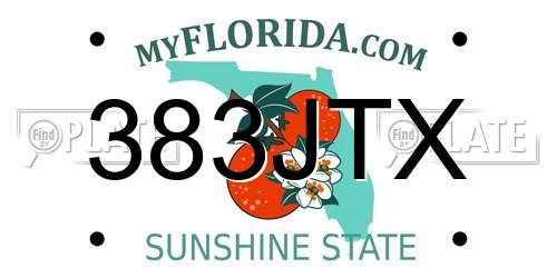 383JTX Florida License Plate