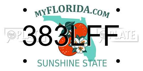 383LFF Florida License Plate