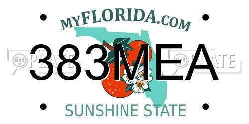 383MEA Florida License Plate