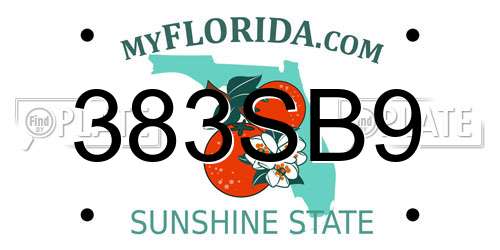 383SB9 Florida License Plate