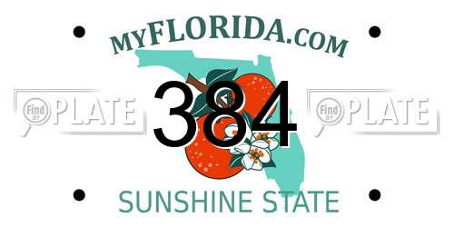 384 Florida License Plate