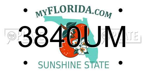 3840UM Florida License Plate