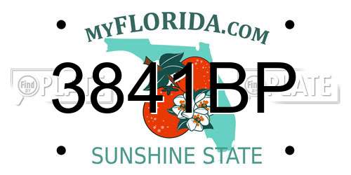 3841BP Florida License Plate