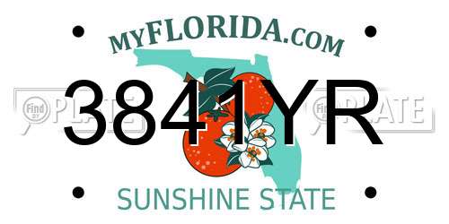 3841YR Florida License Plate