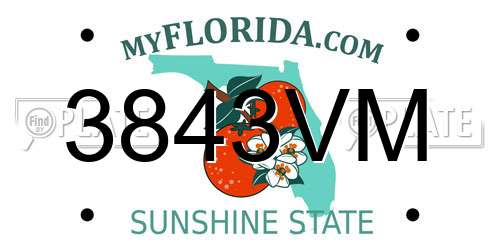 3843VM Florida License Plate