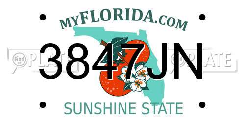 3847JN Florida License Plate